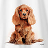 Camiseta Cocker Spaniel branca algodão premium - ASAS
